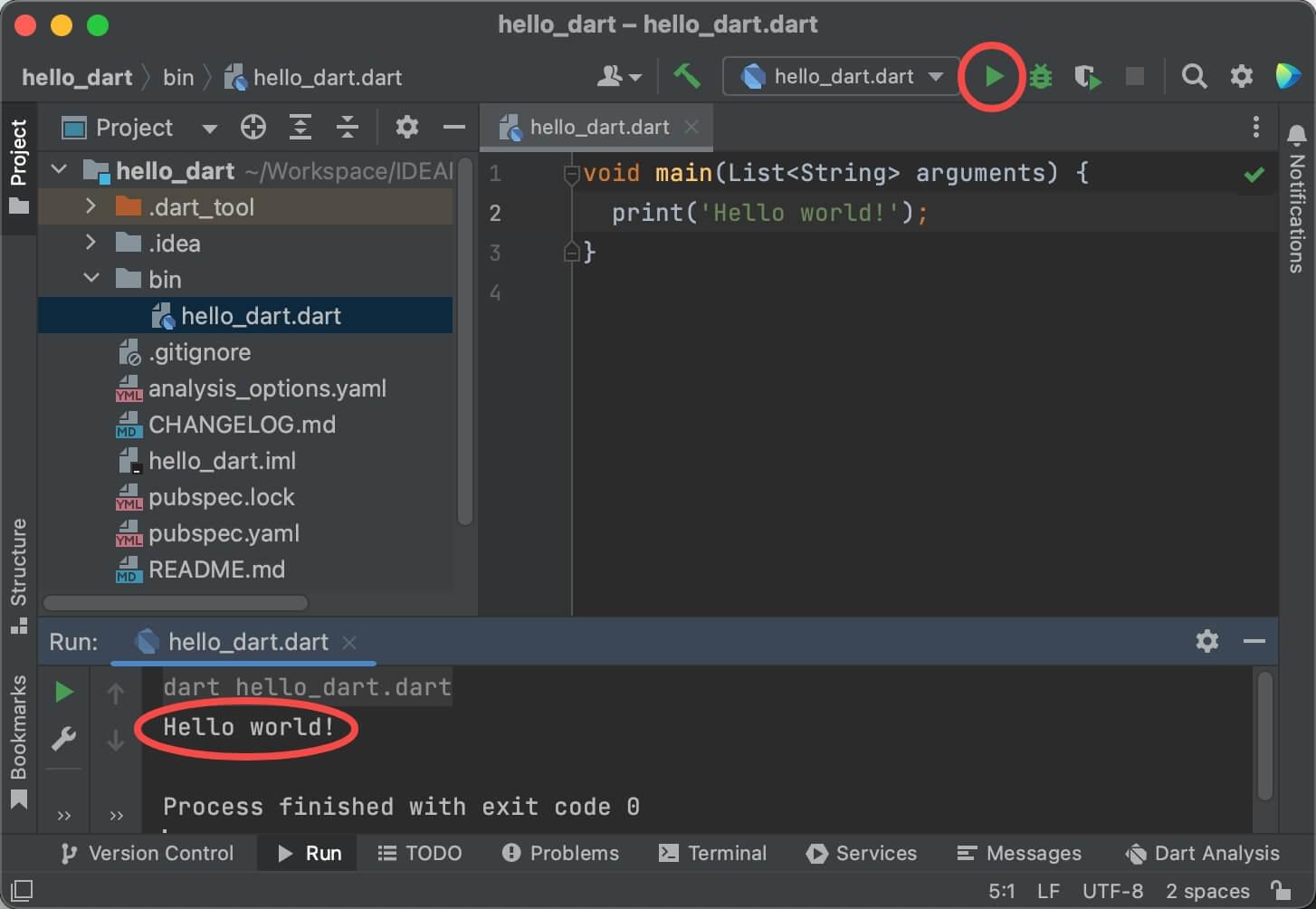 Run Dart project