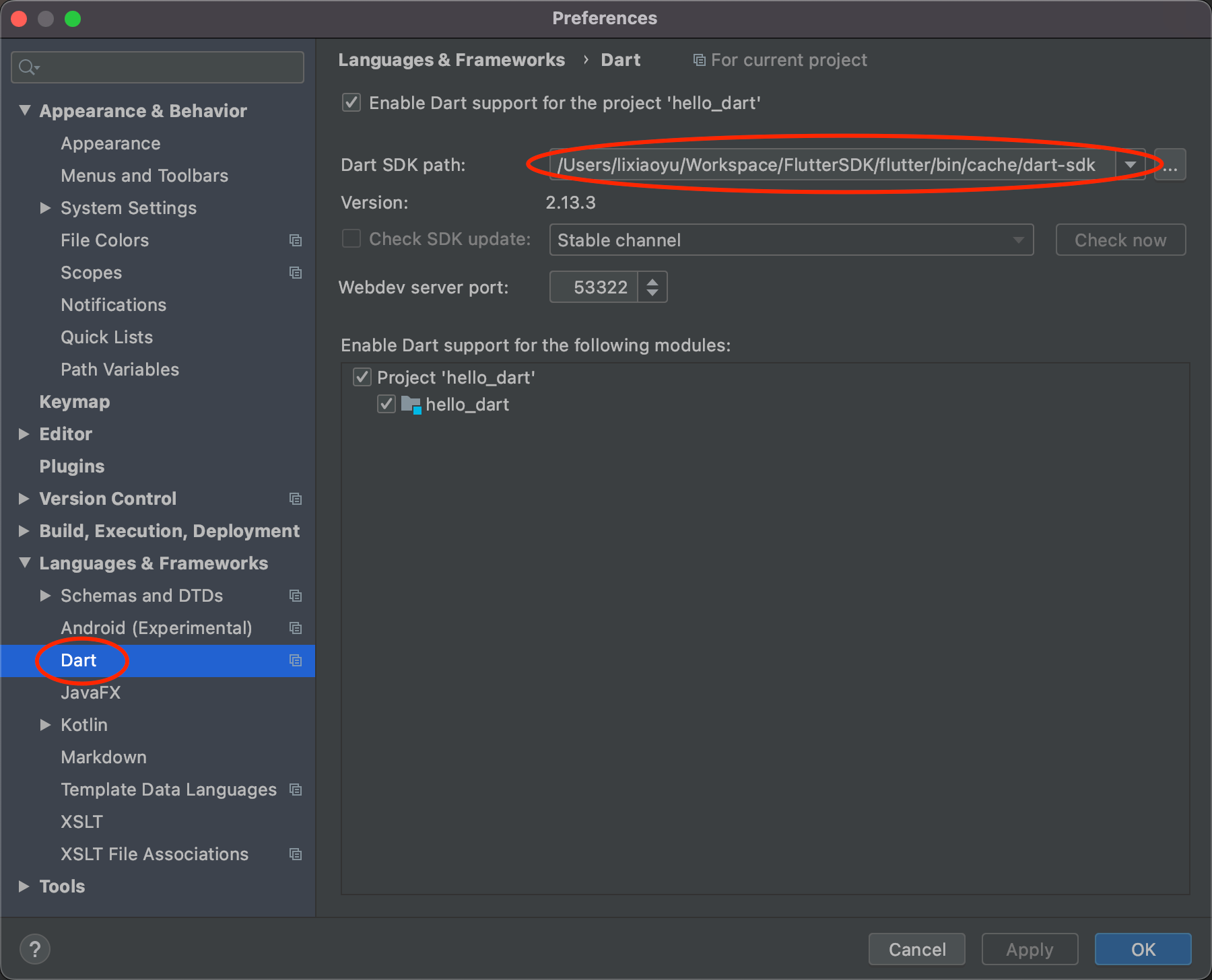 Dart SDK path