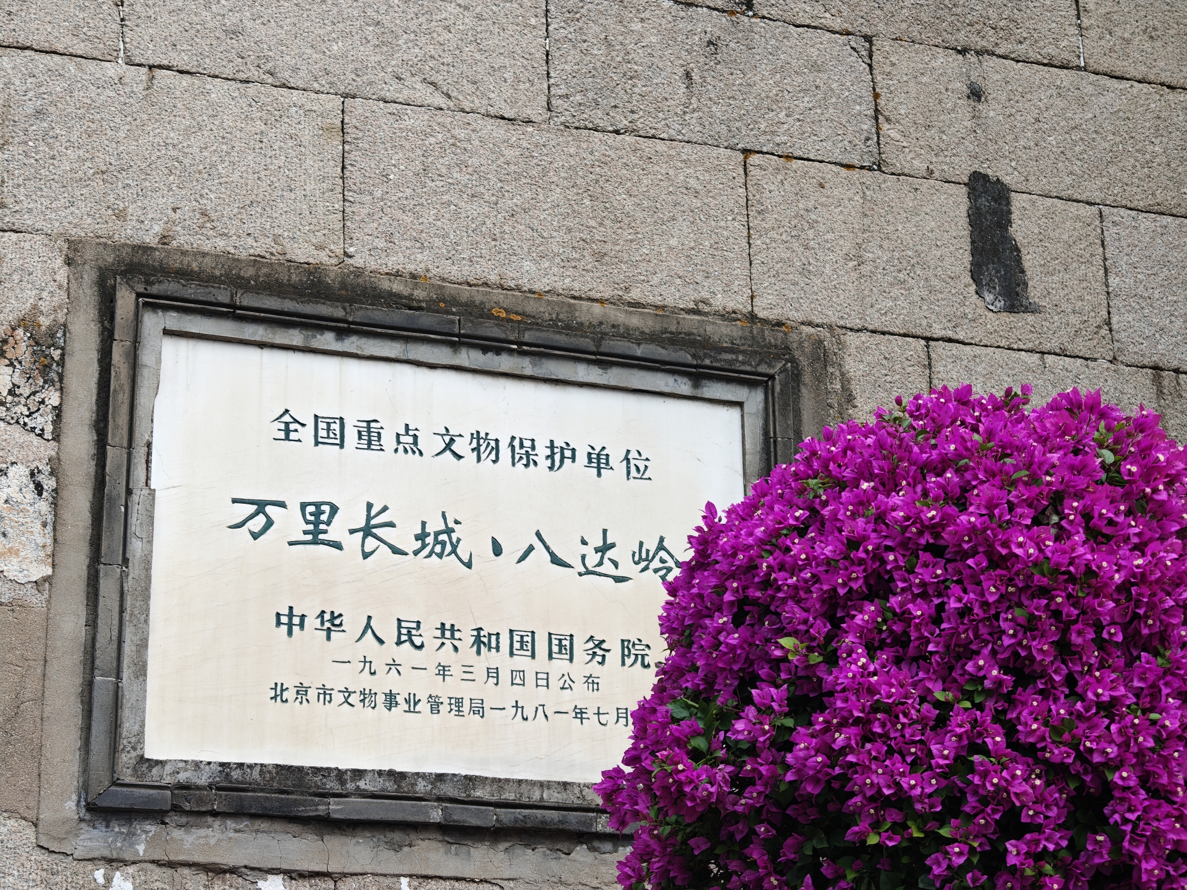 IMG20261003134700.jpg